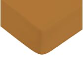 Drap-housse Coton Curry Bonnet 25 - 70x190 cm