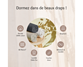 Drap-housse Percale Gris Foncé Bonnet 35 - 160x200 cm