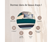 Drap-housse Coton Vison Bonnet 25 - 140x190 cm