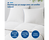 Oreiller Duvdor - 60x60 cm