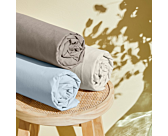 Drap-housse Coton Vison Bonnet 25 - 70x190 cm