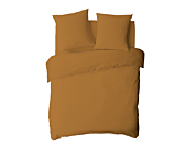 Drap-housse Coton Curry Bonnet 25 - 80x200 cm