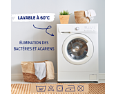 Drap-housse Coton Curry Bonnet 25 - 180x200 cm