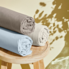 Drap-housse Coton Vison Bonnet 25 - 120x190 cm