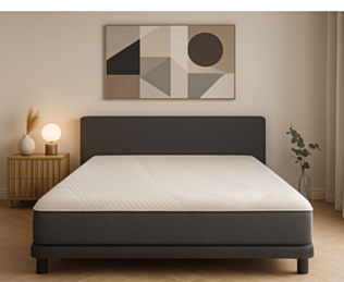 Matelas Mousse 
Matelas 160x200 cm 
Matelas à mémoire de forme 
Matelas Zenpur 