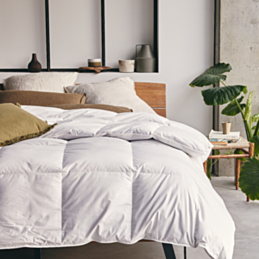 Couette 70% duvet