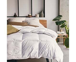 Couette 70% duvet